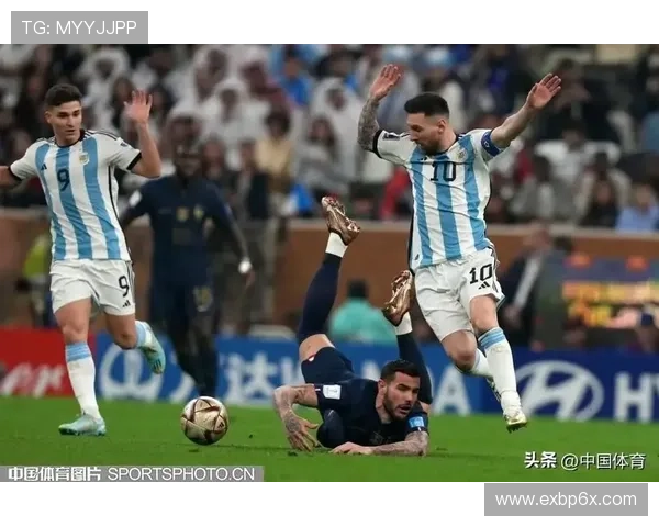 中国体育联赛球迷评论（国内体育联赛）sports